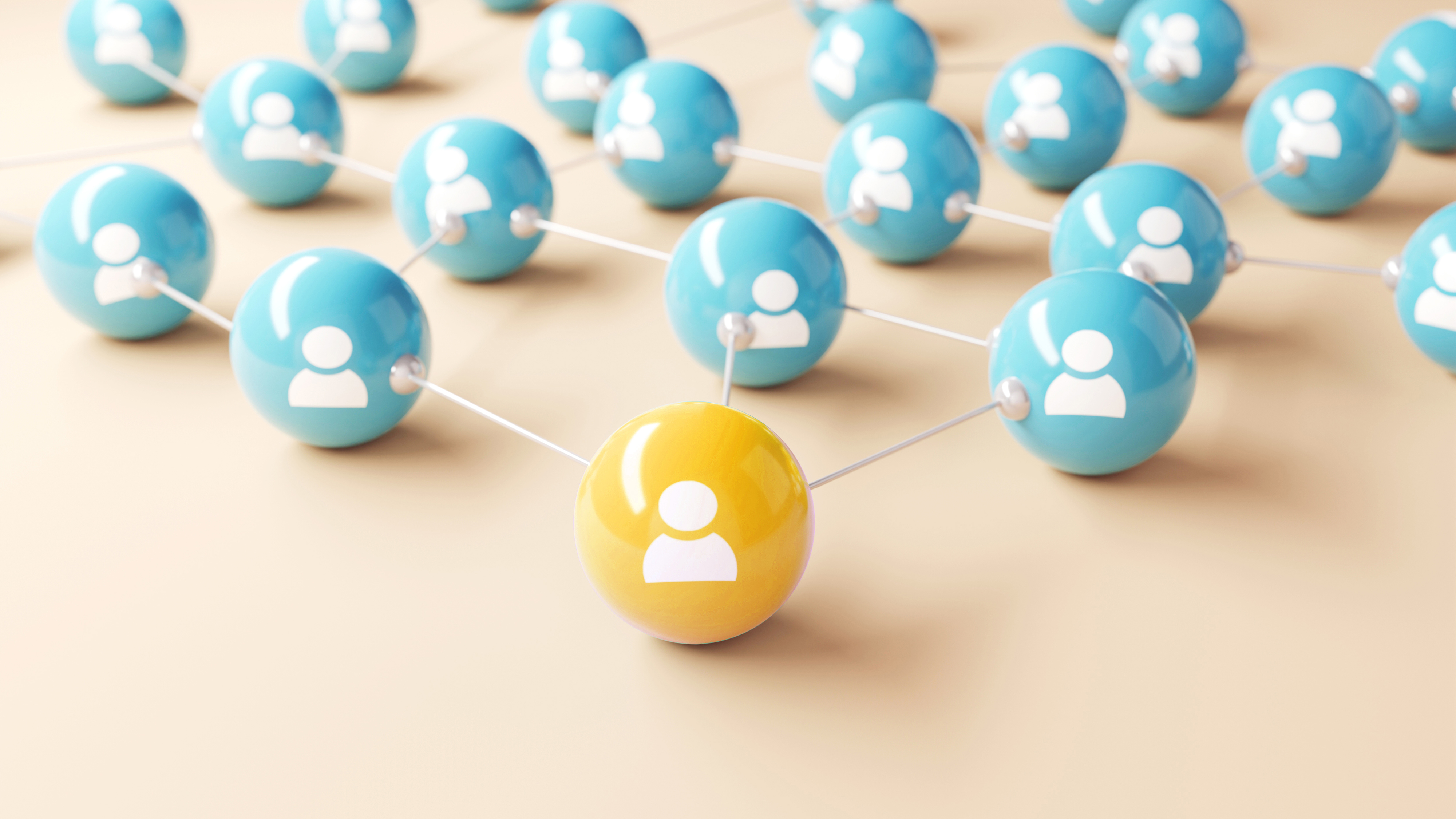 Could you be a charity trustee in the making?