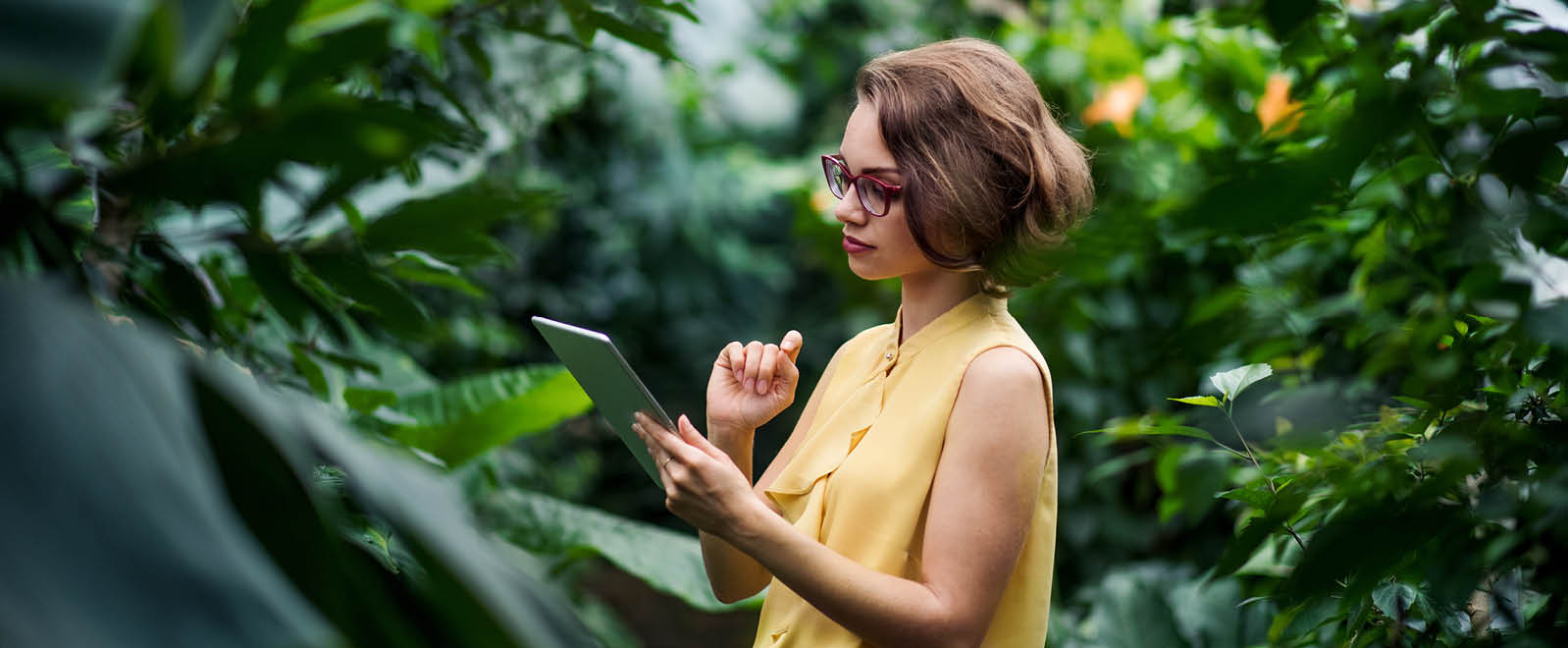 Report: The Sustainability Marketing Skills Gap 2023