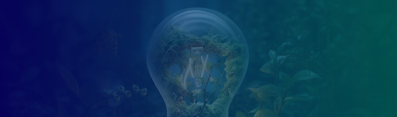 Sustainable Marketing: What’s happening right now?