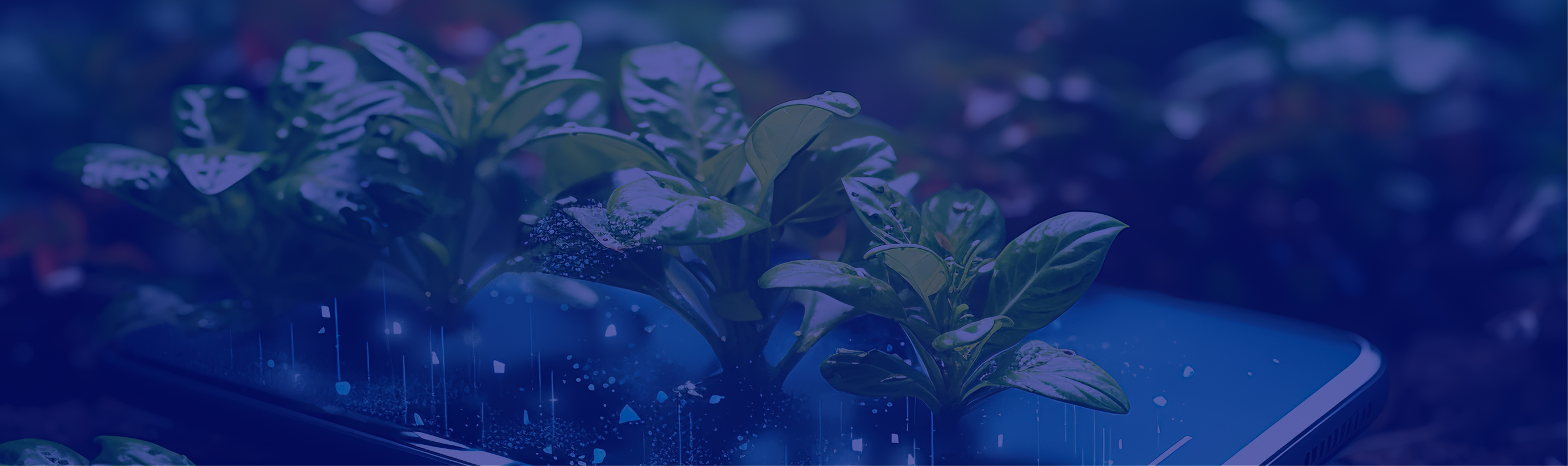 Sustainable Marketing: How to communicate purpose, products and services