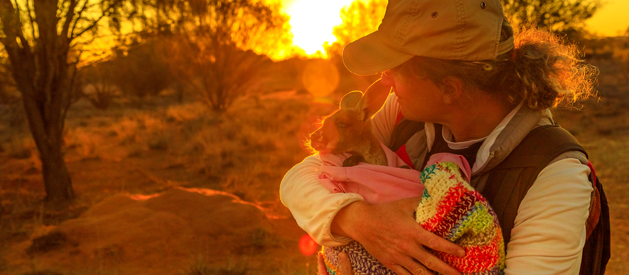 Examining the brand response to Australia’s bushfire crisis