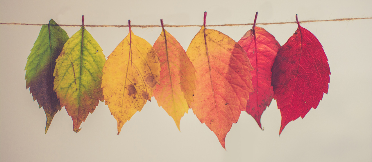 Seven ways marketing has changed during Covid-19