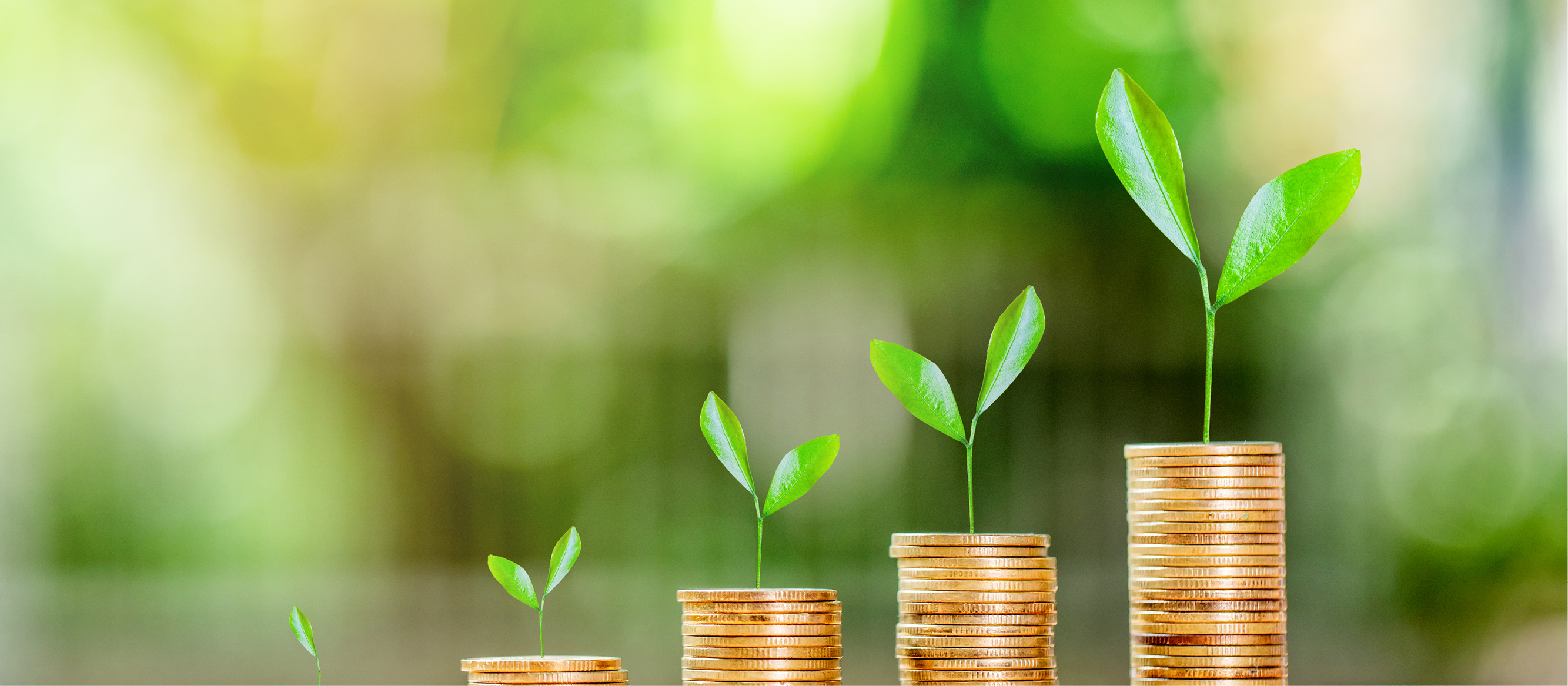 You don't need a big budget to make a big impact