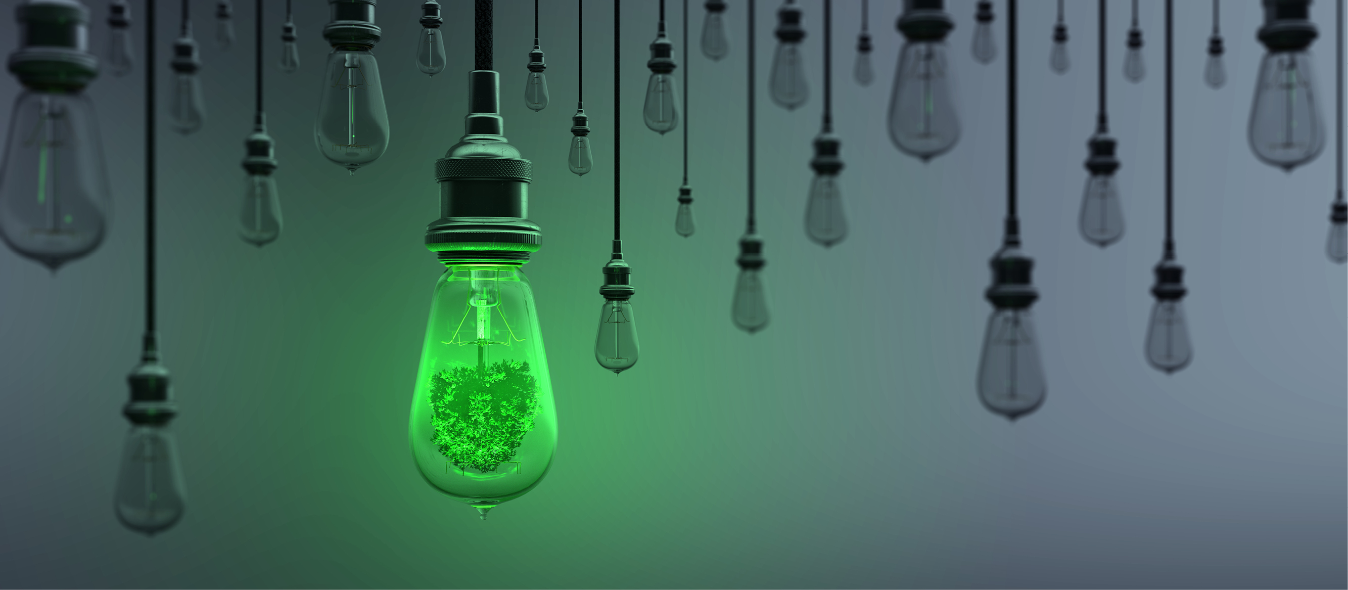 Sustainable transformation is not an option, it is the only option