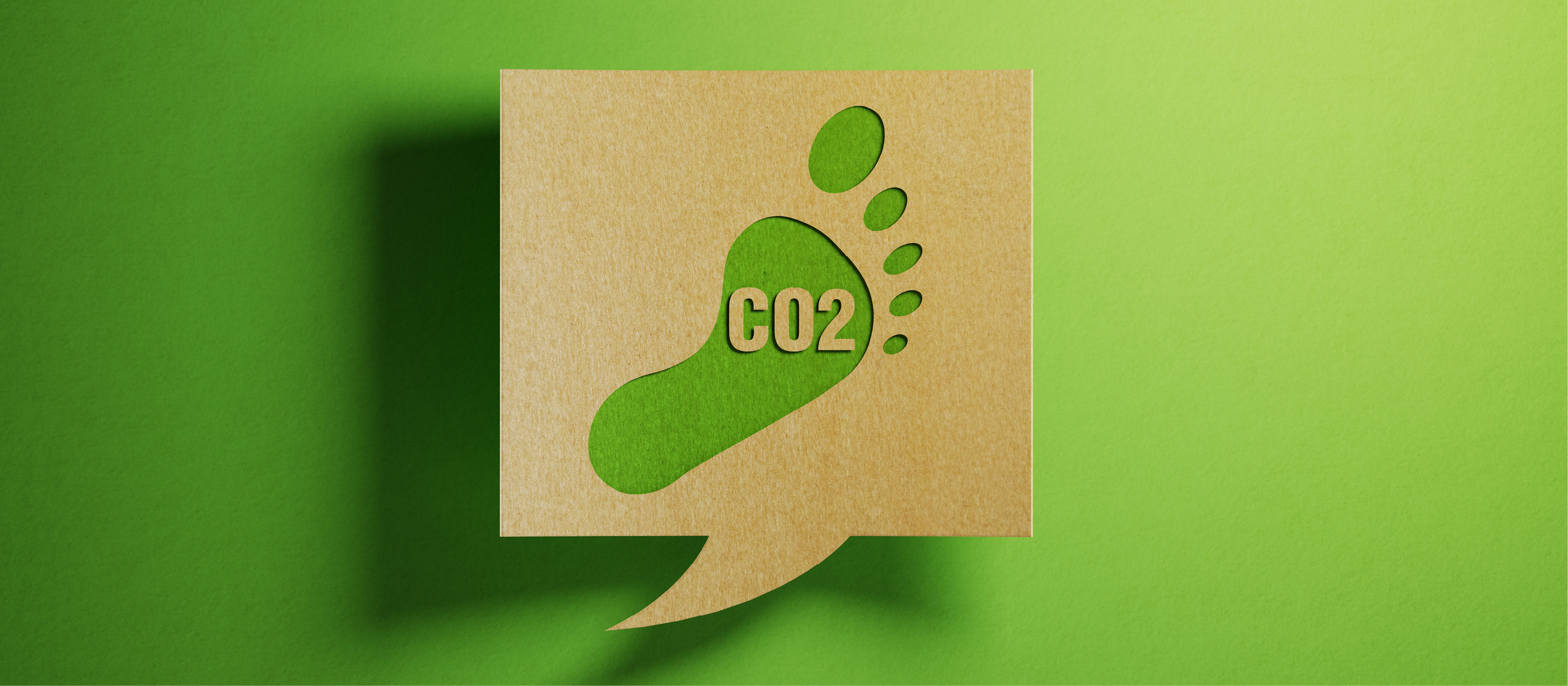 Carbon labelling: The next brand battlefield