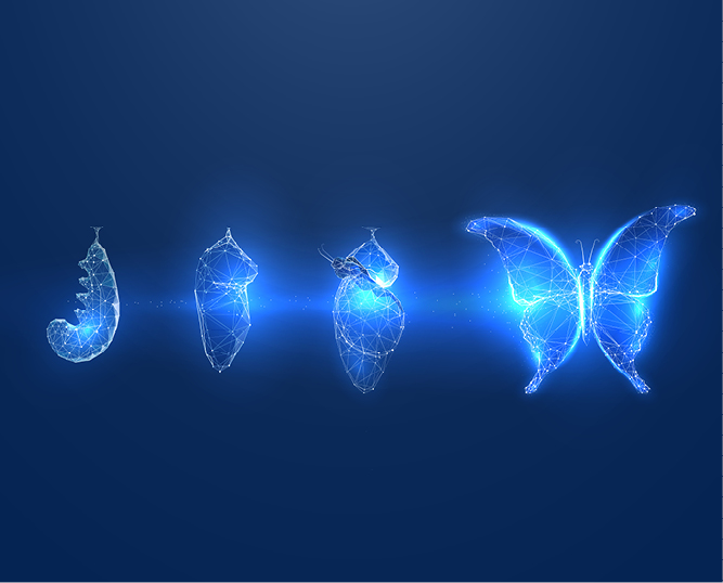 When is the right time to rebrand?