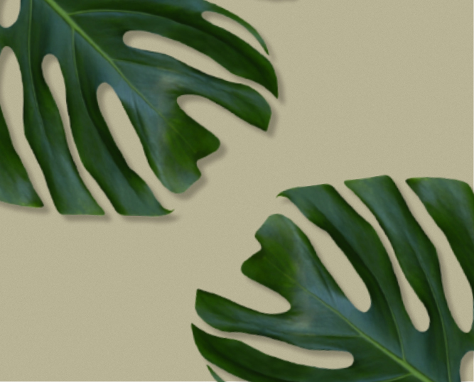 How The Body Shop benefitted from social listening