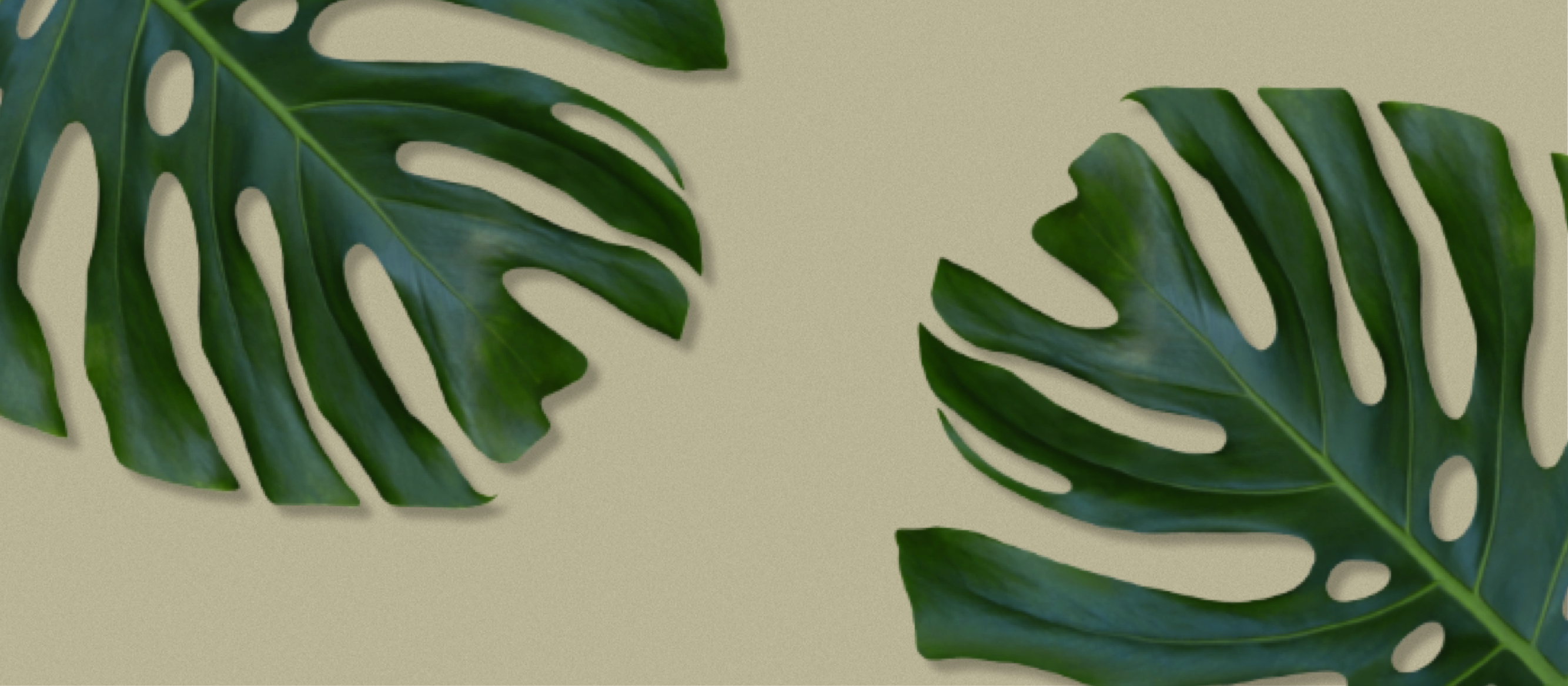 How The Body Shop benefitted from social listening